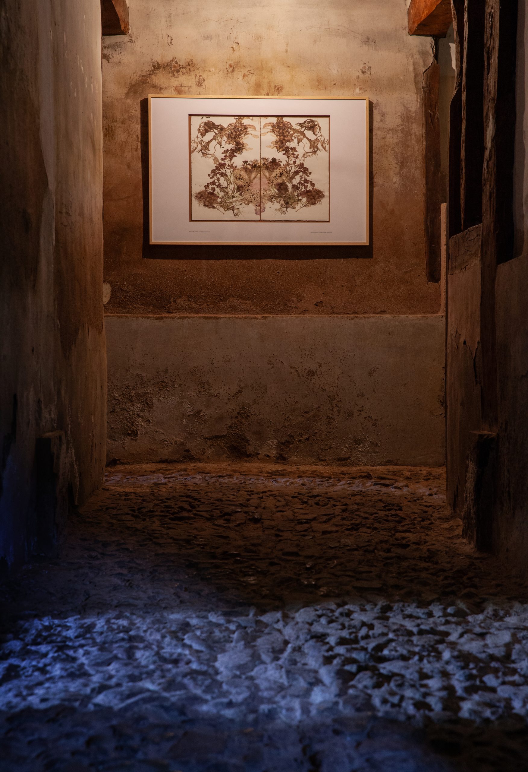 Flora_Memoriae_16-scaled